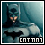 The Caped Crusader : Bruce Wayne (Batman)