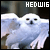 Family : Hedwig
