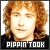 The Guard of the Citadel : Peregrin 'Pippin' Took