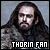 King Under The Mountain :Thorin Oakenshield