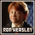 Weasley is Our King : Ron Weasley